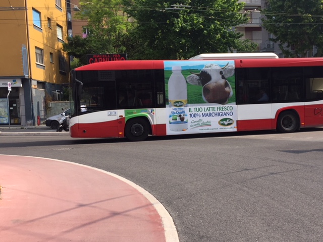 pubblicità negli autobus con adesive